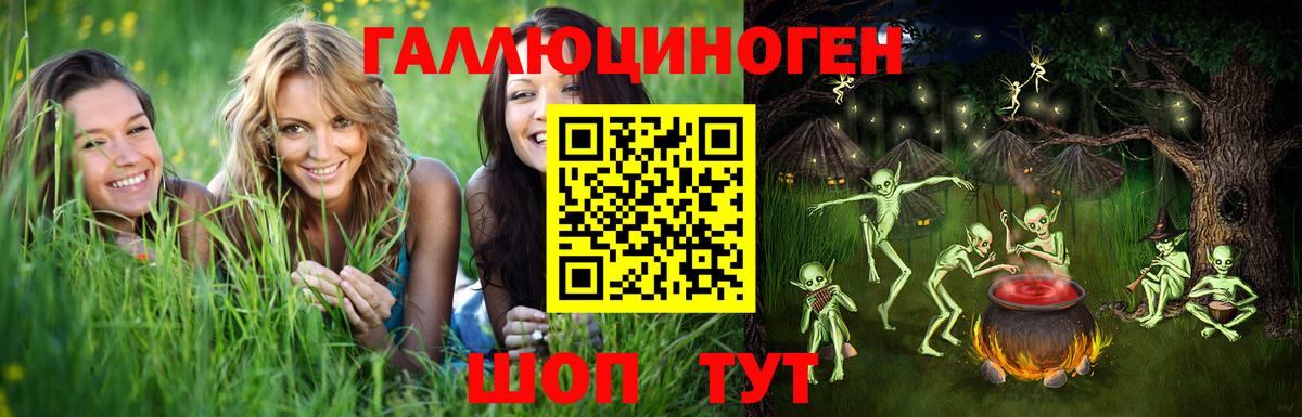 Галлюциногенные грибы Cubensis Кропоткин